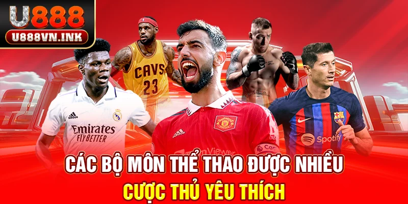 Các bộ môn thể thao được nhiều cược thủ yêu thích