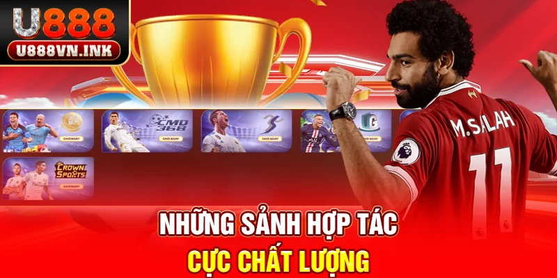 Những sảnh hợp tác cực chất lượng